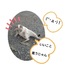 [LINEスタンプ] にゃー子と友達