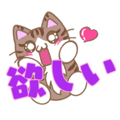 [LINEスタンプ] デカ文字を愛用する猫と遊ぼう