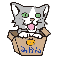 [LINEスタンプ] ダルねこ日常