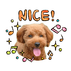 [LINEスタンプ] トイプー結愛の気持ち