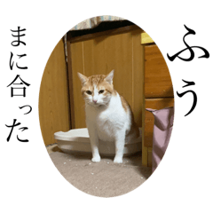 [LINEスタンプ] むぎたんの日常④