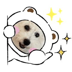 [LINEスタンプ] ビションフリーゼ犬なごみです。2