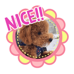 [LINEスタンプ] れお 元気です