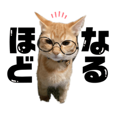 [LINEスタンプ] ペグちゃん