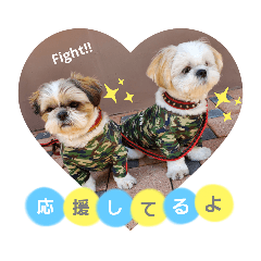 [LINEスタンプ] マサみつの日々2（シーズー）