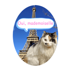 [LINEスタンプ] フランス語をしゃべる美里音