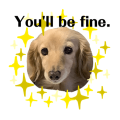 [LINEスタンプ] 英語をしゃべるコロン
