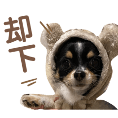 [LINEスタンプ] babyるぅ！反抗期編