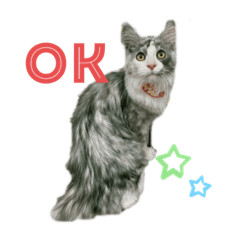 [LINEスタンプ] あおいちゃん♡2