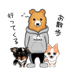 [LINEスタンプ] 銀狛スタンプwithママベアーパパベアー