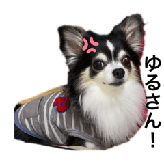 [LINEスタンプ] ユキチ