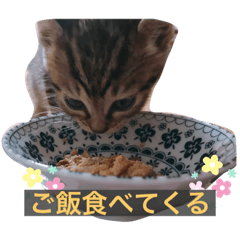 [LINEスタンプ] ルナとノア