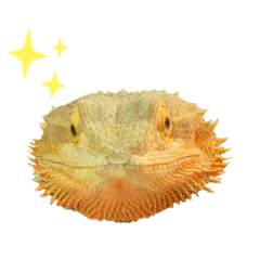 [LINEスタンプ] フトアゴのこまつ