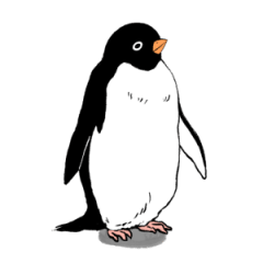 [LINEスタンプ] アデリーペンギンオンリーのスタンプの画像（メイン）