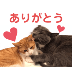 [LINEスタンプ] クランとイヴと。