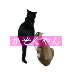 [LINEスタンプ] ぼくたちわたしたち その1