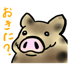 [LINEスタンプ] ブタさんイラスト集