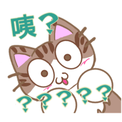 [LINEスタンプ] デカ文字カンペ猫-2