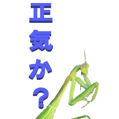 [LINEスタンプ] カマキリからツッコミ