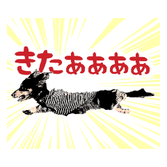 [LINEスタンプ] ミニチュアダックスの気ままなランチ⑲