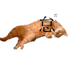 [LINEスタンプ] 猫で表現