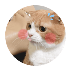 [LINEスタンプ] 見習う自粛生活⑥