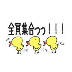 [LINEスタンプ] 夏ちゃん。11