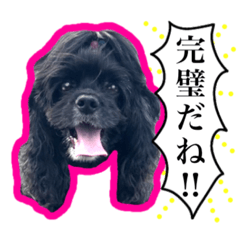[LINEスタンプ] アメコカのリブ3