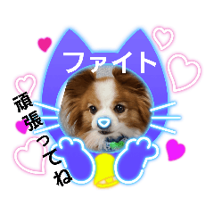 [LINEスタンプ] ぱぴぱぴパピヨン18