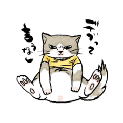 [LINEスタンプ] デブと戦うネコ