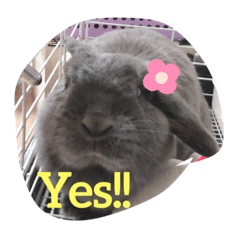 [LINEスタンプ] ゴマスタンプ3段