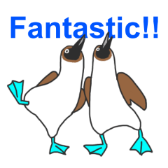 [LINEスタンプ] ほめ上手な鳥たち