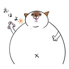 [LINEスタンプ] しゃむねこ めーぷる