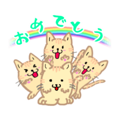 [LINEスタンプ] ねこねーこ。