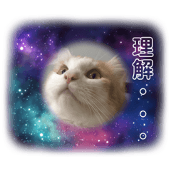 [LINEスタンプ] ししゃも③