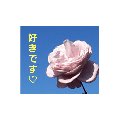 [LINEスタンプ] 告白♡スタンプ