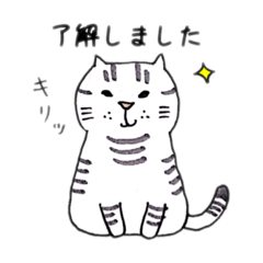 [LINEスタンプ] 飼い猫マー子1(日常編)