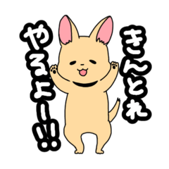 [LINEスタンプ] 筋トレするイッヌ