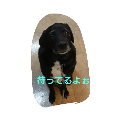 [LINEスタンプ] バーボンスタンプ♡