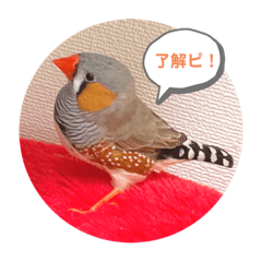[LINEスタンプ] 使える時があるスタンプ