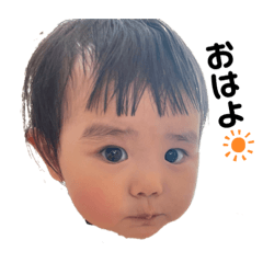 [LINEスタンプ] ぱっつんのりり