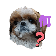 [LINEスタンプ] ももの日常 1