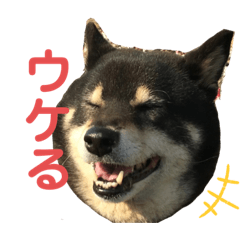 [LINEスタンプ] 関西弁くろしば2