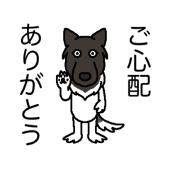 [LINEスタンプ] 元保護犬 今家庭犬 6