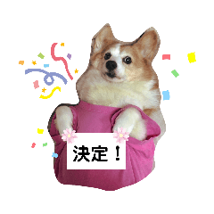 [LINEスタンプ] 杏ちゃーん！