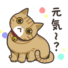 [LINEスタンプ] うちのネコ集めました2。【マンチカン】