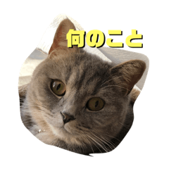 [LINEスタンプ] スタイリーサイタマ2