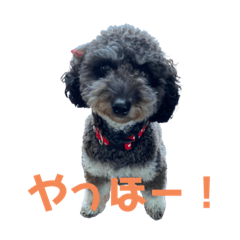 [LINEスタンプ] 19.ガブ