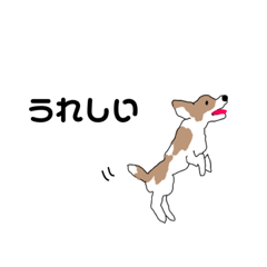 [LINEスタンプ] miho みゆの犬