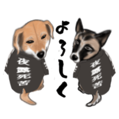 [LINEスタンプ] ミックス犬のトト・テトスタンプ